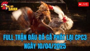 Full Trận Đấu Đá Gà Phát Lại CPC3 Ngày 10/04/2025