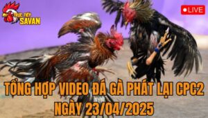 Tổng Hợp Video Đá Gà Phát Lại CPC2 Ngày 23/04/2025