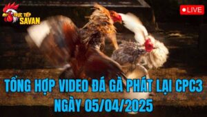 Tổng Hợp Video Đá Gà Phát Lại CPC3 Ngày 05/04/2025