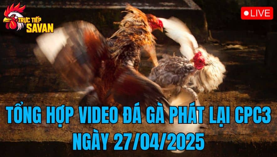 Tổng Hợp Video Đá Gà Phát Lại CPC3 Ngày 27/04/2025