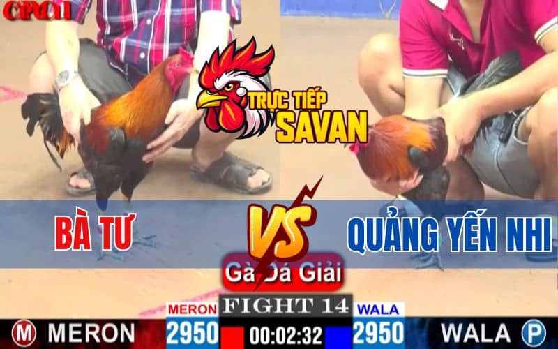Trận 14 CPC1 Ngày 10/04/2025 - Bà Tư Đụng Độ Với Chị Quảng Yến Nhi