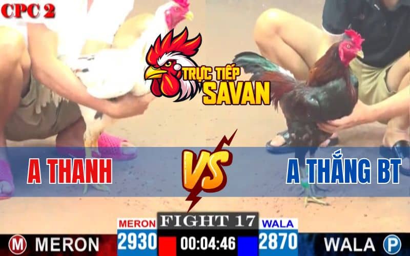 Trận 17 CPC2 Ngày 16/04/2025 – Anh Thanh Và Anh Thắng Bến Tre