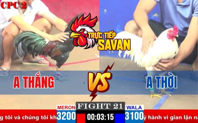 Trận 21 CPC2 Ngày 04/04/2025 – Gà Xanh Gồng Mình Phản Đòn Cực Hay