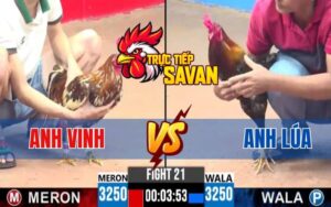 Trận 21 CPC3 Ngày 22/04/2025 – Anh Vinh Và Anh Lúa Sài Gòn