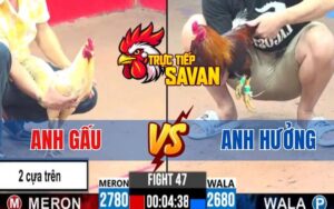 Trận 47 CPC3 Ngày 22/04/2025 – Anh Hưởng Chấp Ngông Và Cái Kết