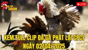 Xem Full Video Đá Gà Phát Lại CPC1 Ngày 02/04/2025