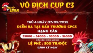 Giải đấu vô địch cup C3 ngày 07/05/2025