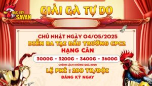 Thông báo giải gà tự do tại bồ CPC2 ngày 04/05/2025